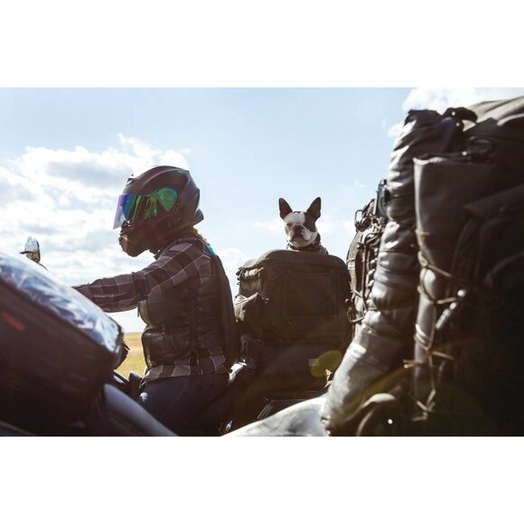 Kuryakyn Pet Palace - Picture 1 of 10